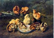 unknow artist chickens 197 France oil painting artist